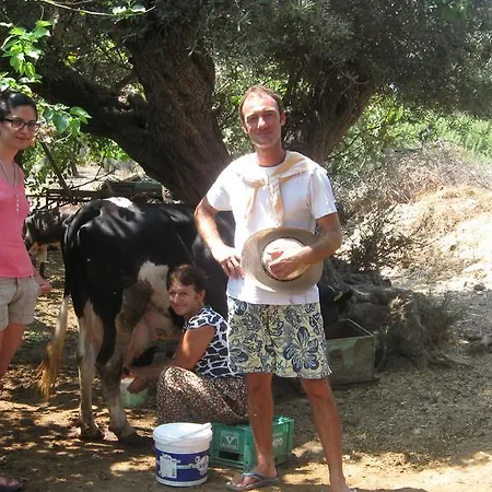Homestay Veziroglu
