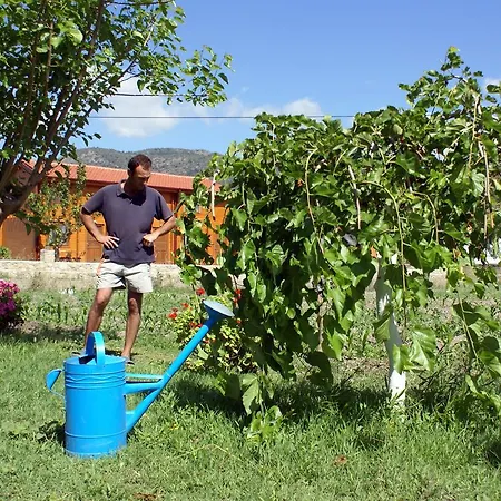 Homestay Veziroglu Mesudiye (Datca)