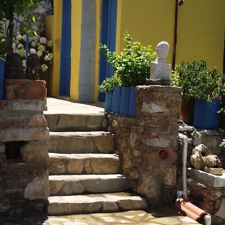 Homestay Veziroglu *