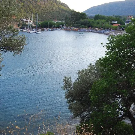 Veziroglu ميسوديه