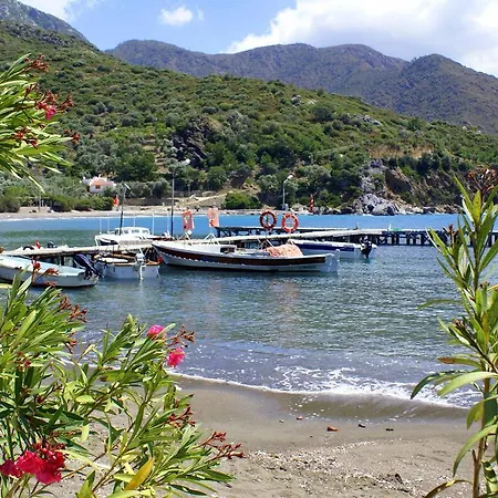 Veziroglu ميسوديه